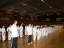 002 Bsc Vereinsmeisterschaft 2015