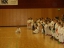 012 Bsc Vereinsmeisterschaft 2015